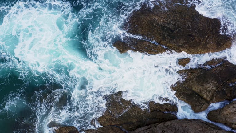 Online Surf Resources to Learn Surfing at Home