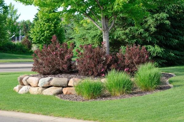 Budget-Friendly Landscaping Ideas for Small Yards