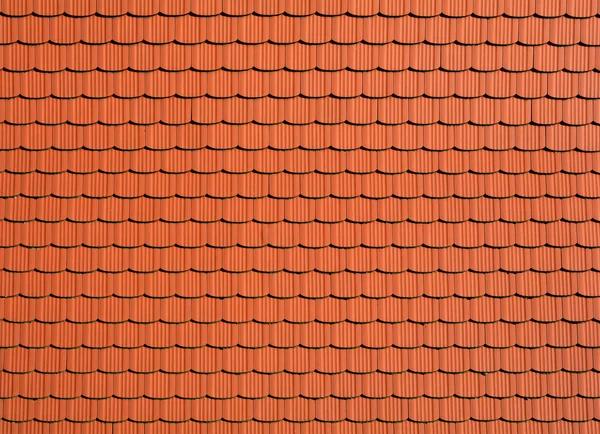 Roofing Company You Can Trust for Affordable Roofing Solutions