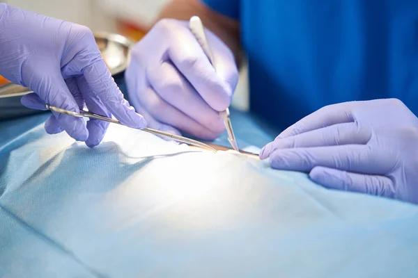 Breast Augmentation Near Me for Enhanced Confidence and Beauty