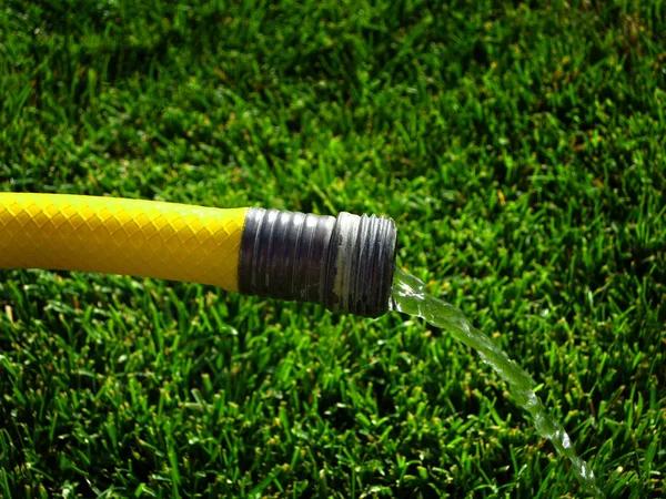 Experienced Drain Field Service Professionals in Loganville