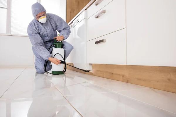 Maintain a Fresh-Looking Yard With Professional Lawn Care Services