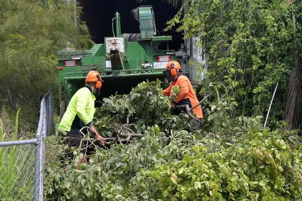 Complete Tree Service Mobile Assistance for Residential Properties